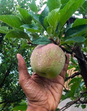 Yathra Lahari Farm Stay